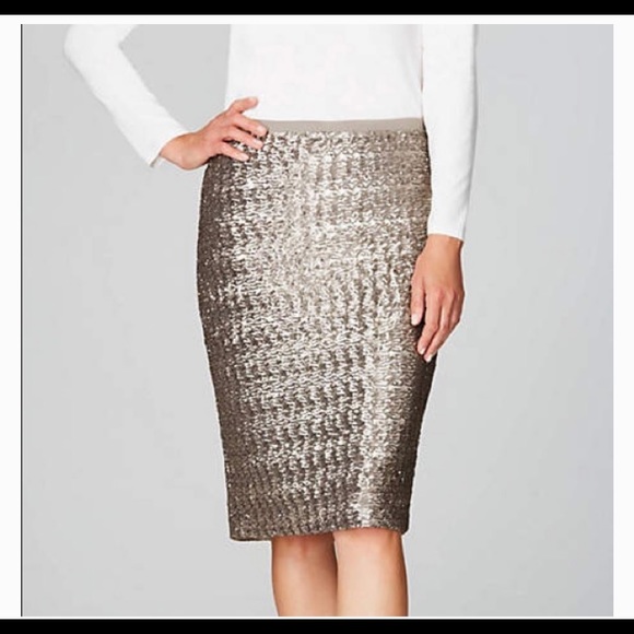 J.Jill Sequins Pencil Sterling Women’s Skirt Size XS, M NWT - Picture 1 of 12